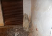 Chalet independiente con terreno en venta en la España, Aielo de Malferit, ref: TR294208 foto