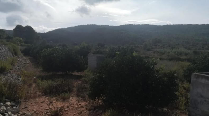 Valencia - Villalonga - 13500m2