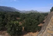Parcel·la urbanitzable en venda a la España, Vilallonga, ref.: TR345270 foto