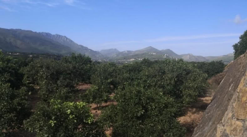 Valencia - Villalonga - 13500m2