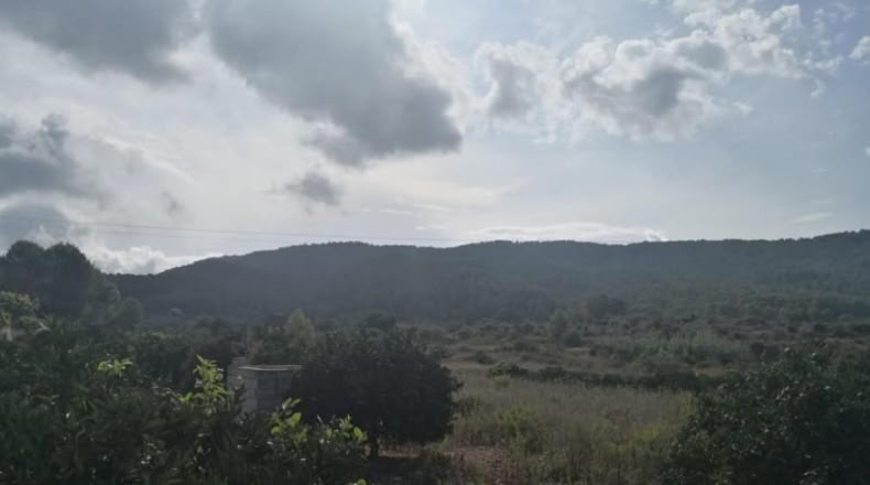 Valencia - Villalonga - 13500m2
