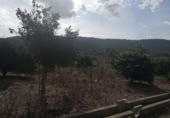 Parcel·la urbanitzable en venda a la España, Vilallonga, ref.: TR345270 foto
