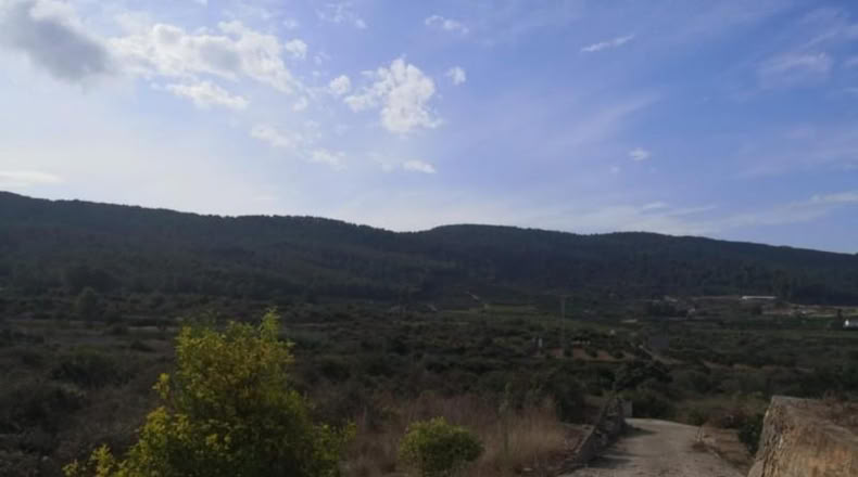 Valencia - Villalonga - 13500m2