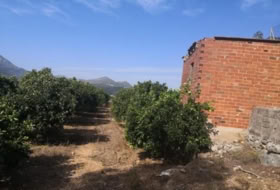 Foto 15