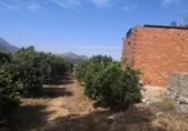 Parcel·la urbanitzable en venda a la España, Vilallonga, ref.: TR345270 foto