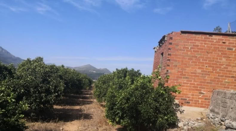 Valencia - Villalonga - 13500m2
