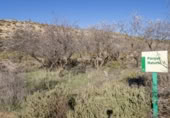 Land suitable for development for sale on España, La Zubia, ref: TR409266 photo