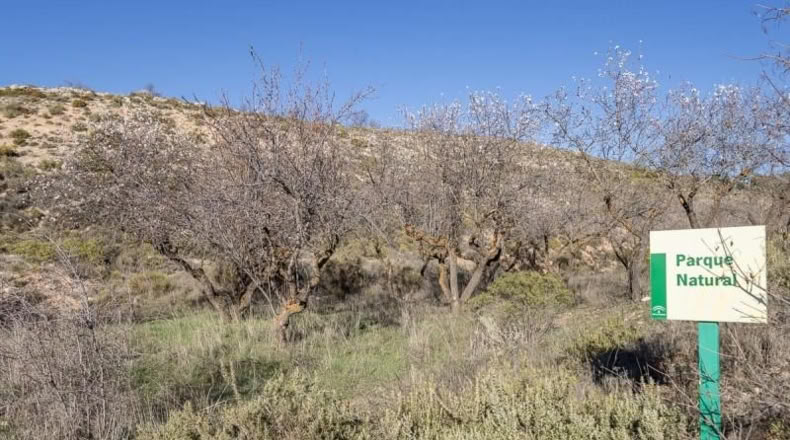 Granada - La Zubia - 850m2