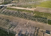 Terreno no urbanizable en venta en la España, Vinaròs, ref: TR350779 foto