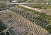 Terreno no urbanizable en venta en la España, Vinaròs, ref: TR350779 foto
