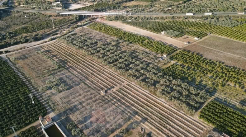 Castellón - Винарос - 18500m2
