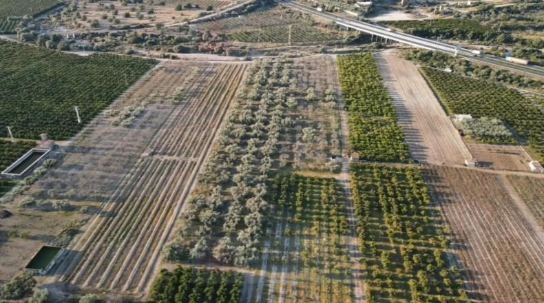 Castellón - Винарос - 18500m2
