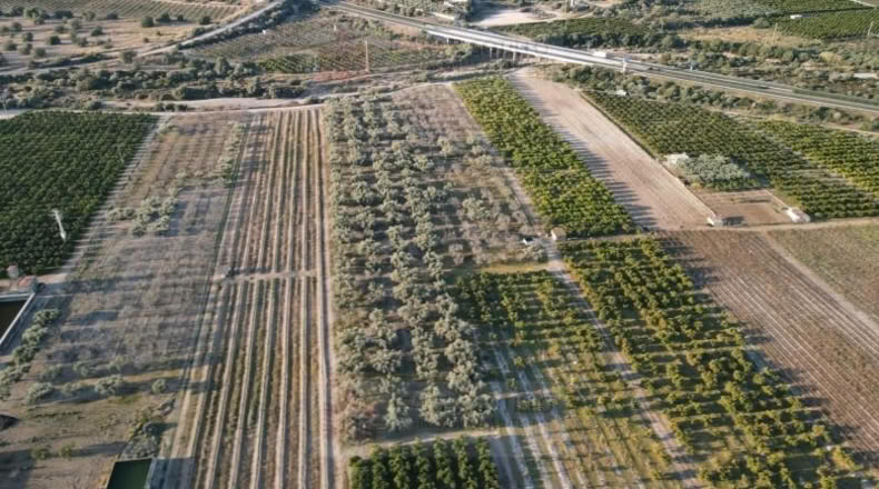 Castellón - Винарос - 18500m2