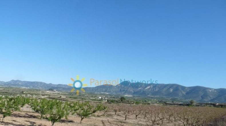 Valencia - Bèlgida - 90000m2