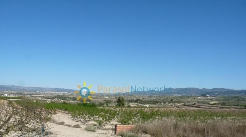 Valencia - Bèlgida - 90000m2