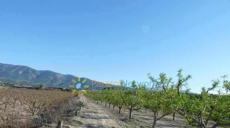 Valencia - Bèlgida - 90000m2