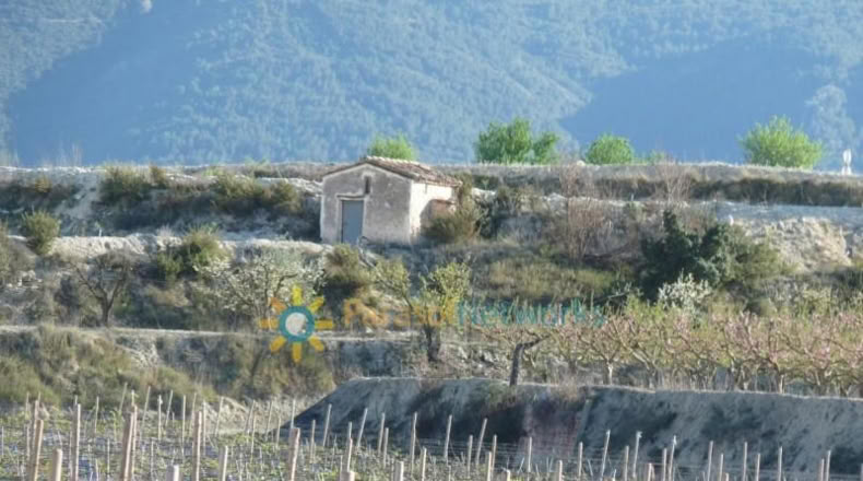 Valencia - Bèlgida - 90000m2