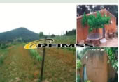Rural estate for sale on España, Tordera, ref: TR350392 photo