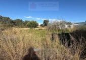 Xalet independent amb terreny en venda a la España, Vinaròs, ref.: TR383786 foto