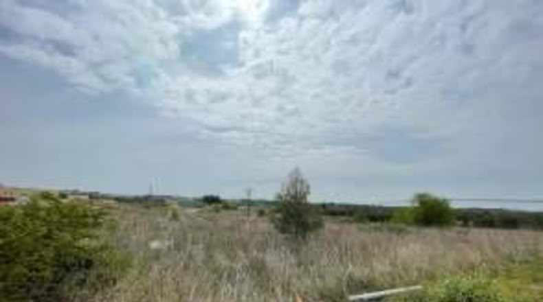 Tarragona - Puigpelat - 9850m2