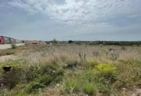 Puigpelat 9850&nbsp;м²