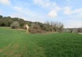 Land suitable for development for sale on España, Santa Maria de Palautordera, ref: TR145303 photo