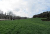 Land suitable for development for sale on España, Santa Maria de Palautordera, ref: TR145303 photo