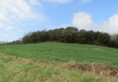 Land suitable for development for sale on España, Santa Maria de Palautordera, ref: TR145303 photo