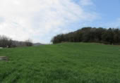 Land suitable for development for sale on España, Santa Maria de Palautordera, ref: TR145303 photo