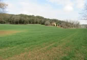 Land suitable for development for sale on España, Santa Maria de Palautordera, ref: TR145303 photo