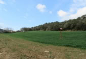 Land suitable for development for sale on España, Santa Maria de Palautordera, ref: TR145303 photo