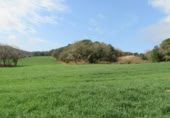 Land suitable for development for sale on España, Santa Maria de Palautordera, ref: TR145303 photo
