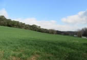 Land suitable for development for sale on España, Santa Maria de Palautordera, ref: TR145303 photo