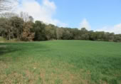 Land suitable for development for sale on España, Santa Maria de Palautordera, ref: TR145303 photo