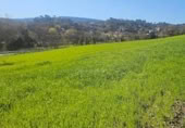 Land suitable for development for sale on España, Santa Maria de Palautordera, ref: TR145303 photo