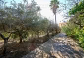 Xalet independent amb terreny en venda a la España, Alcanar, ref.: TR319428 foto