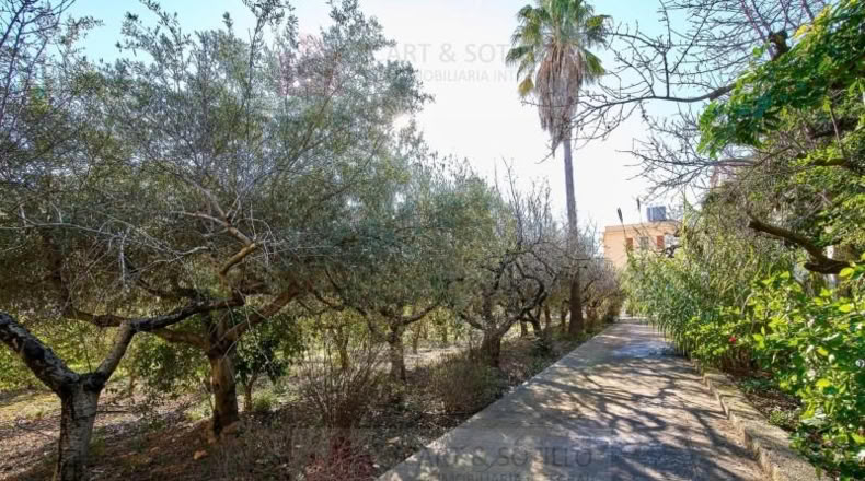 Tarragona - Alcanar - 2036m2