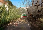 Xalet independent amb terreny en venda a la España, Alcanar, ref.: TR319428 foto