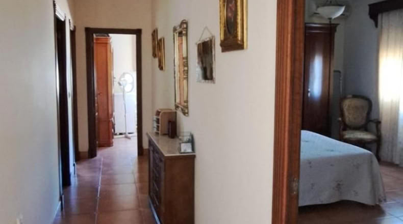 Cadiz - Jerez de la Frontera - 35895m2