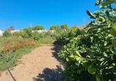 Finca rústica en venda a la España, Jerez de la Frontera, ref.: TR347420 foto