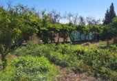 Finca rústica en venda a la España, Jerez de la Frontera, ref.: TR347420 foto