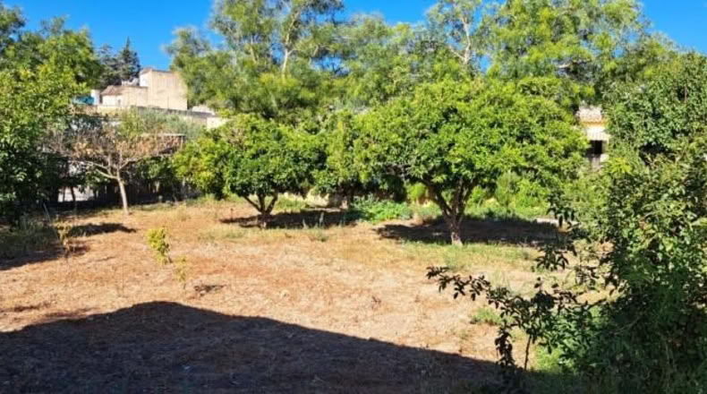 Cadiz - Jerez de la Frontera - 35895m2