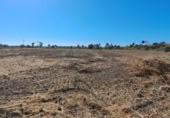 Finca rústica en venda a la España, Jerez de la Frontera, ref.: TR347420 foto