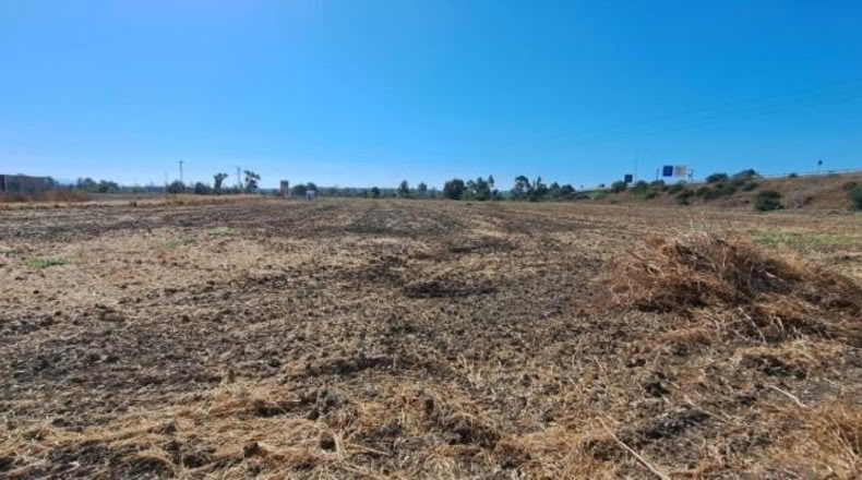 Cadiz - Jerez de la Frontera - 35895m2