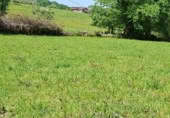 Parcel·la urbanitzable en venda a la Carretera Cangas de Onís - Panes, Con, ref.: TR409234 foto