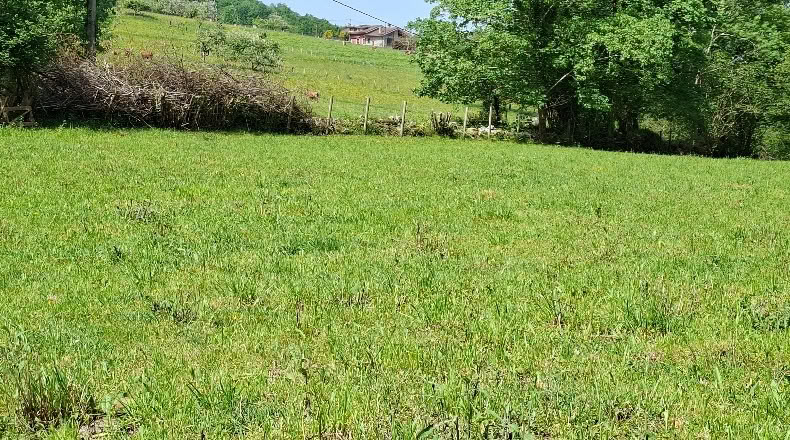 Astúries - Con - 6580m2