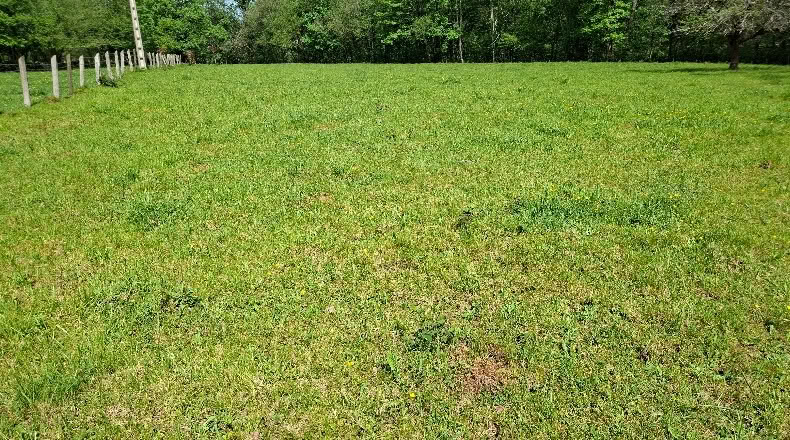 Astúries - Con - 6580m2