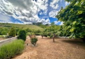 Urban land for sale on España, Arganza, ref: TR409249 photo