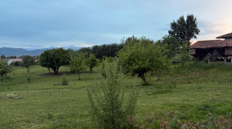 Astúries - Pola de Siero - 1072m2