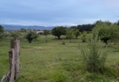 Non-developable land for sale on España, Pola de Siero, ref: TR409248 photo